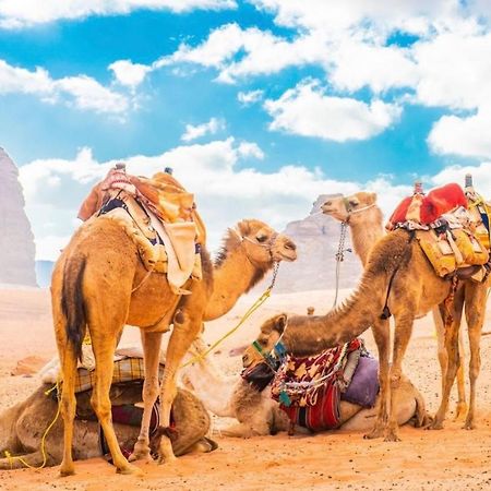 Traditional Bedouin Camp Tour Hotel Wadi Rum Exterior photo