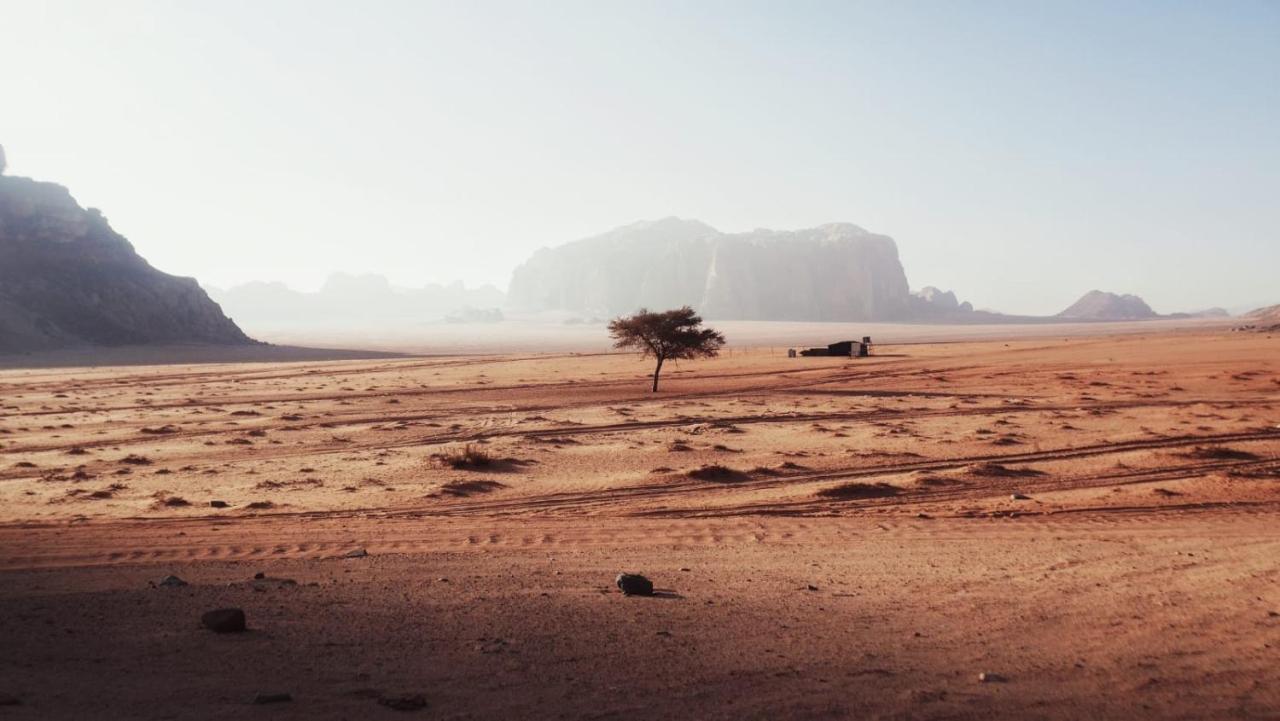 Traditional Bedouin Camp Tour Hotel Wadi Rum Exterior photo