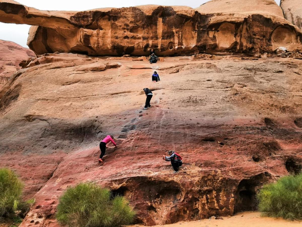 Traditional Bedouin Camp Tour Hotel Wadi Rum Exterior photo