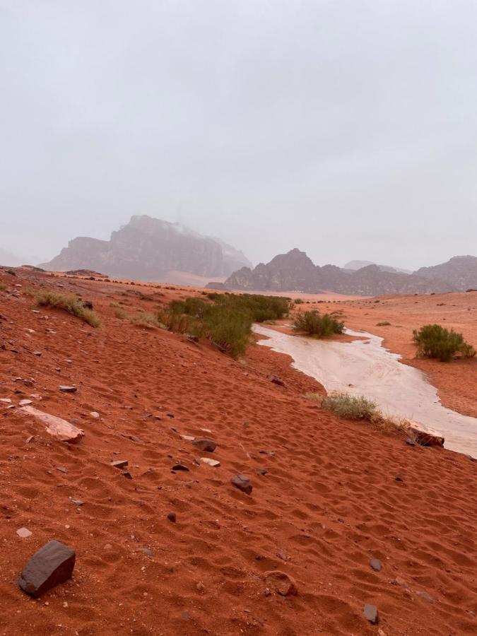 Traditional Bedouin Camp Tour Hotel Wadi Rum Exterior photo