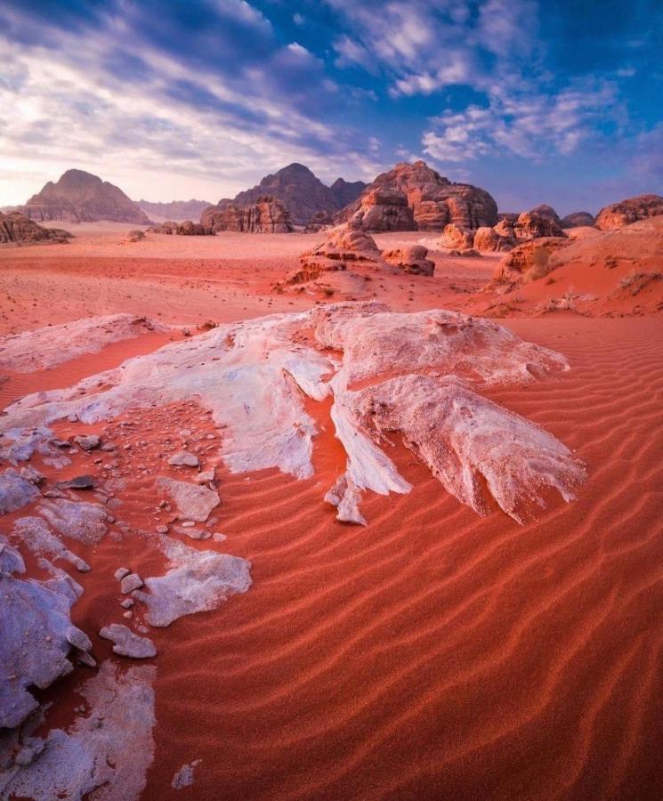 Traditional Bedouin Camp Tour Hotel Wadi Rum Exterior photo