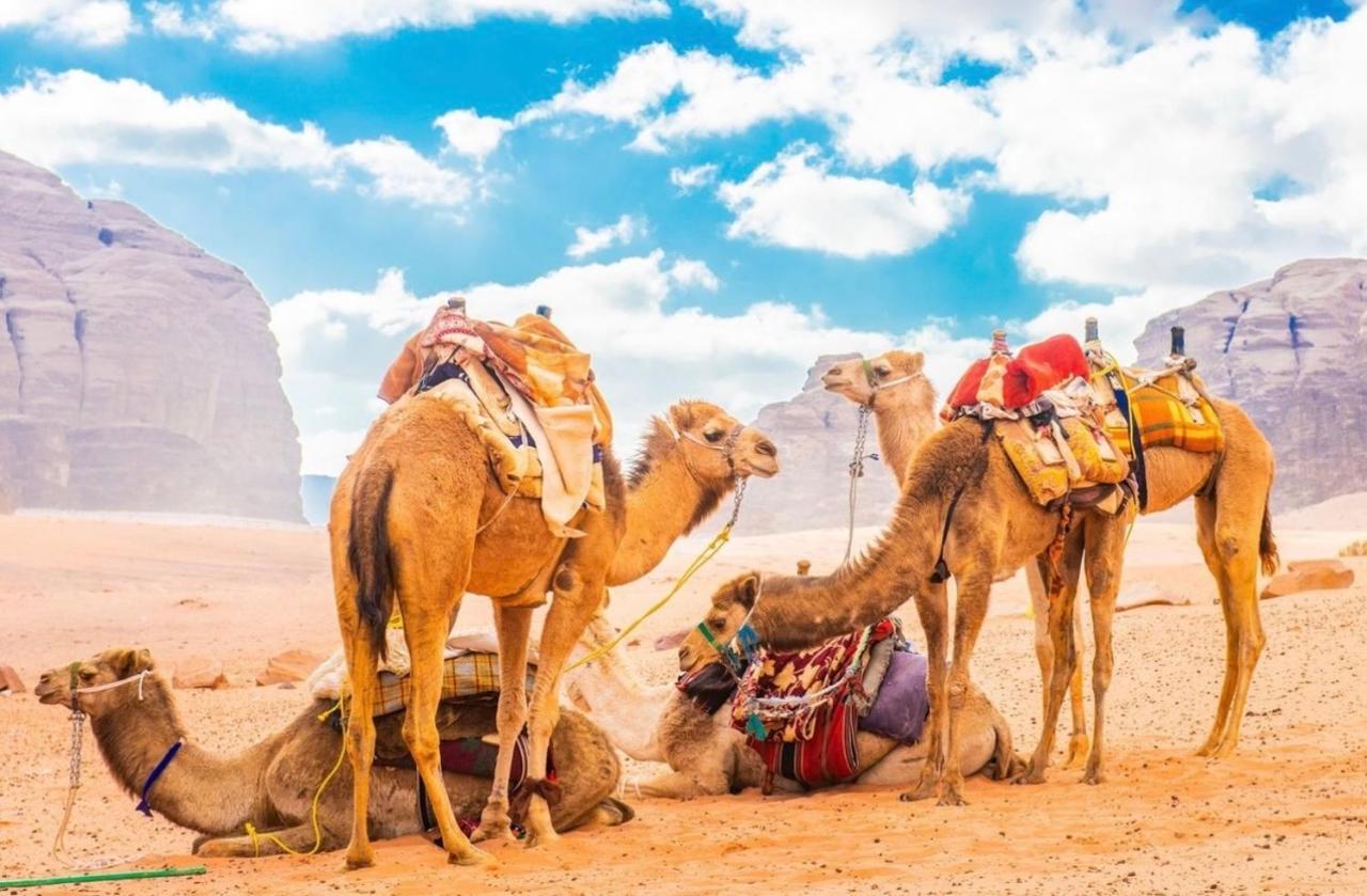 Traditional Bedouin Camp Tour Hotel Wadi Rum Exterior photo