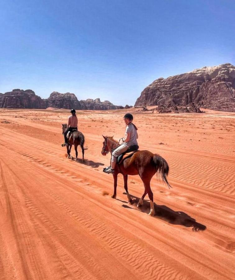 Traditional Bedouin Camp Tour Hotel Wadi Rum Exterior photo