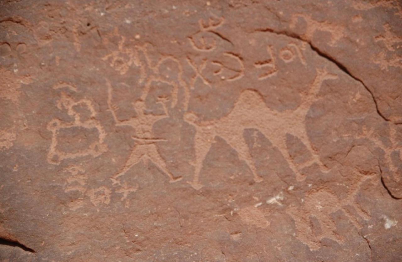 Traditional Bedouin Camp Tour Hotel Wadi Rum Exterior photo